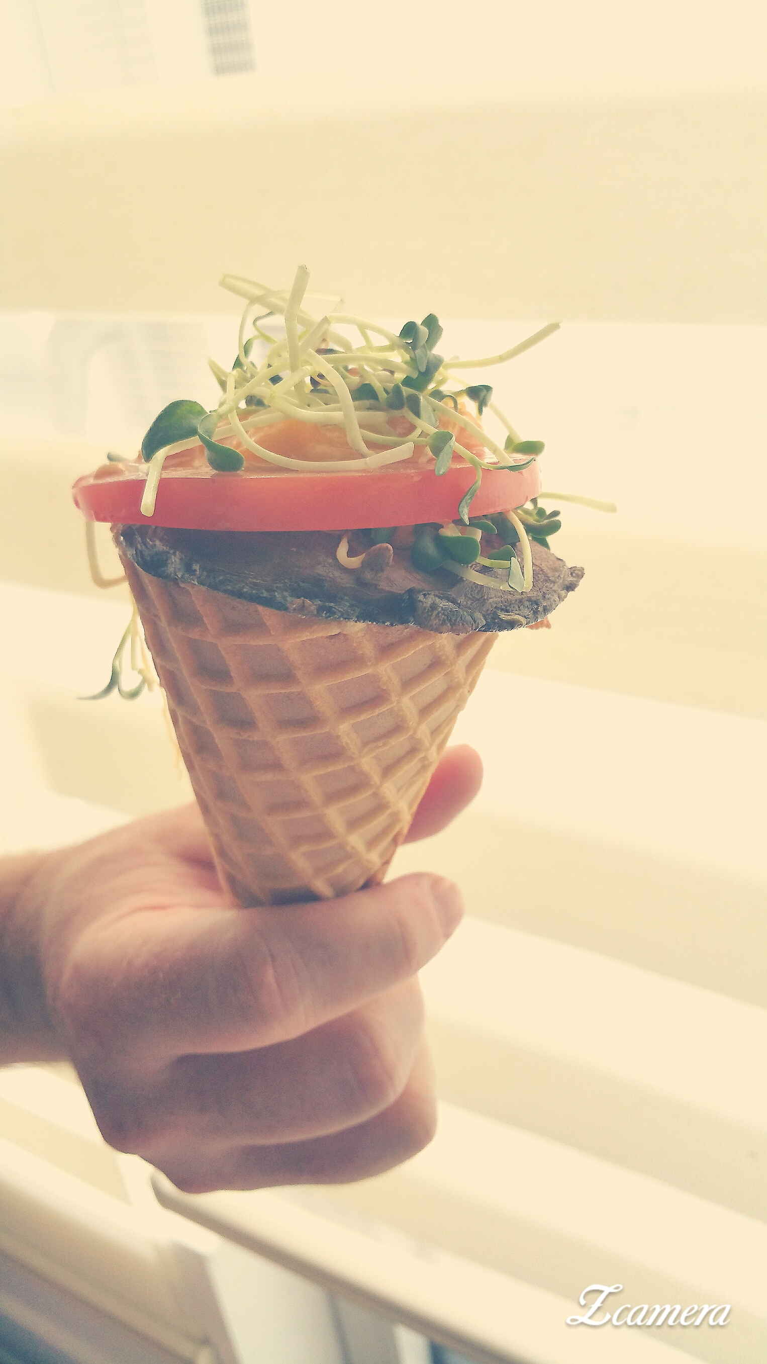 ������Ͳ������