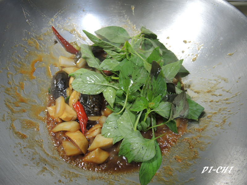 ��������Ƥ��������