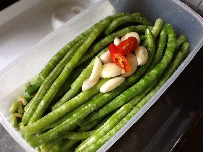 �������������ᶹ��������