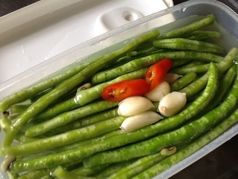 �������������ᶹ��������