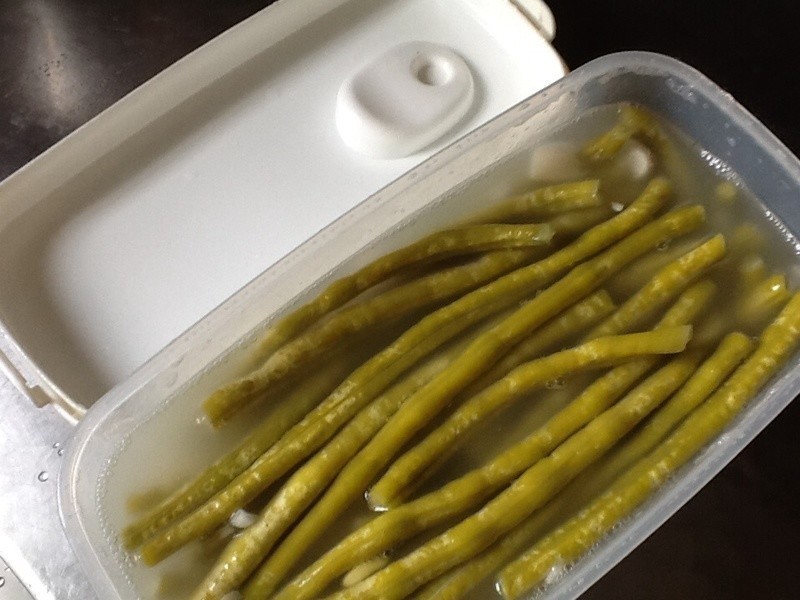 �������������ᶹ��������