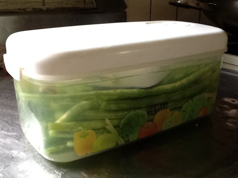 �������������ᶹ��������