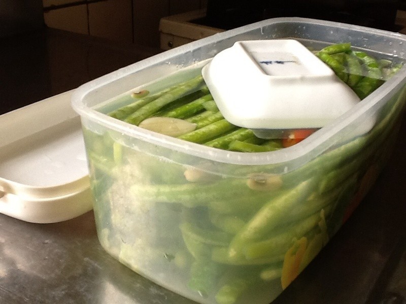 �������������ᶹ��������