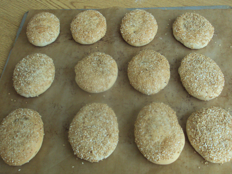 �������ձ�������