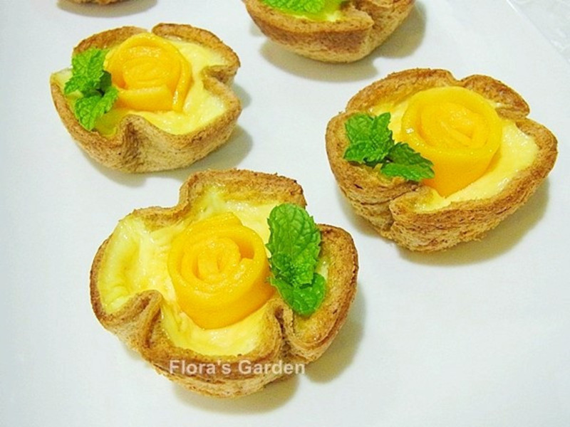 ͵�Բ�--���׼���������������