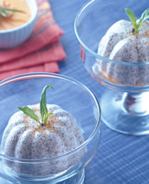 ֥�鲼��������