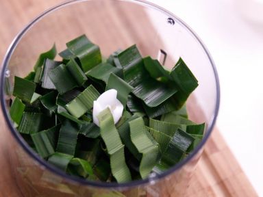 ����ѩ�����������