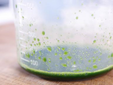 ����ѩ�����������