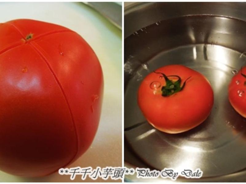 ��Ϻެ���������-���ָ��������������