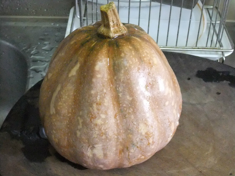 ��ʽ�㹽�Ϲϸ������