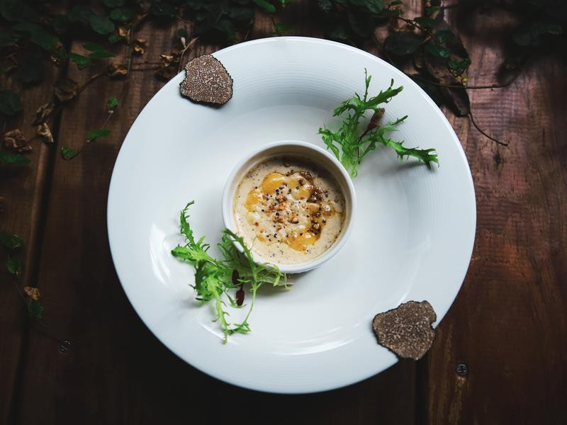 ��ʽ����¶����������