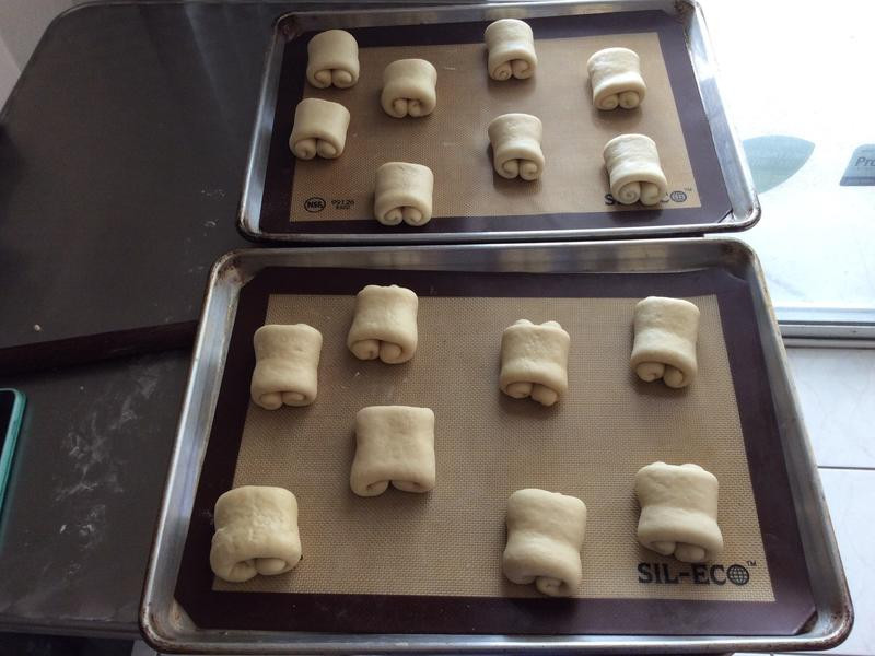 ţ�������������