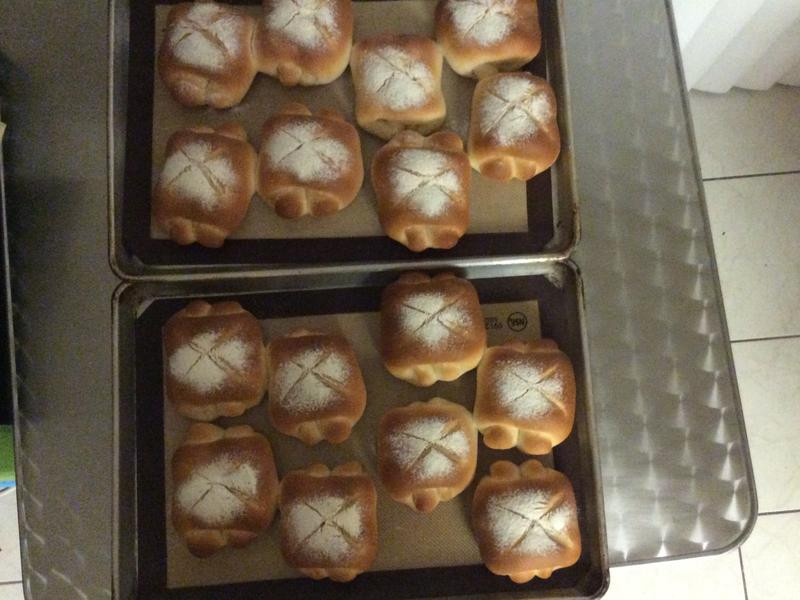 ţ�������������