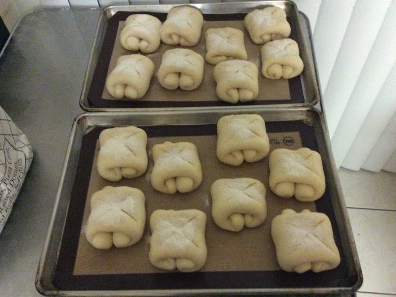 ţ�������������