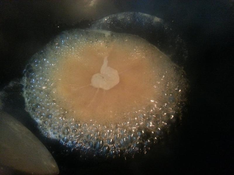 С������ı㵱��~��֭ը����������