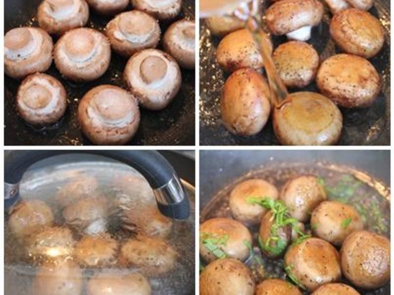 ��Ƭ����Ģ��������