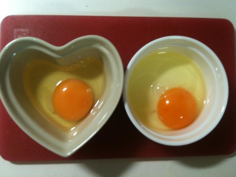 ������������㵰����ͷ��õ�廨�Ÿ������