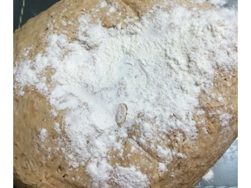 �������ȫ����ͷ������