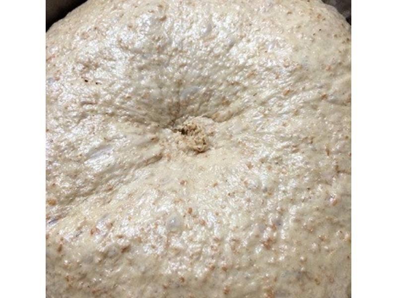 �������ȫ����ͷ������