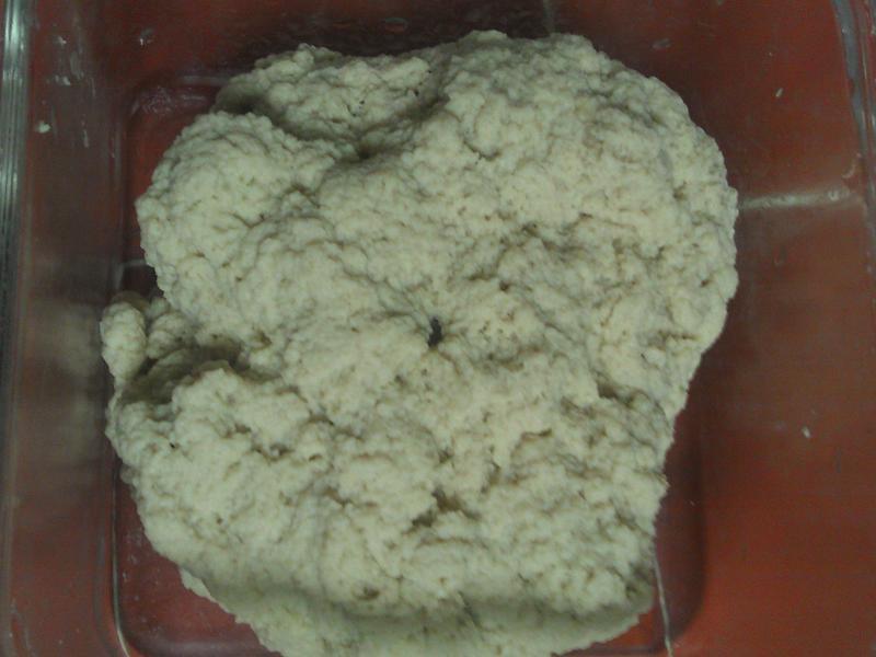 ��������泦������