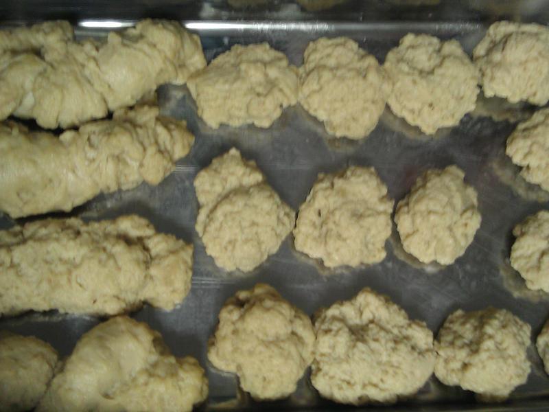 ��������泦������