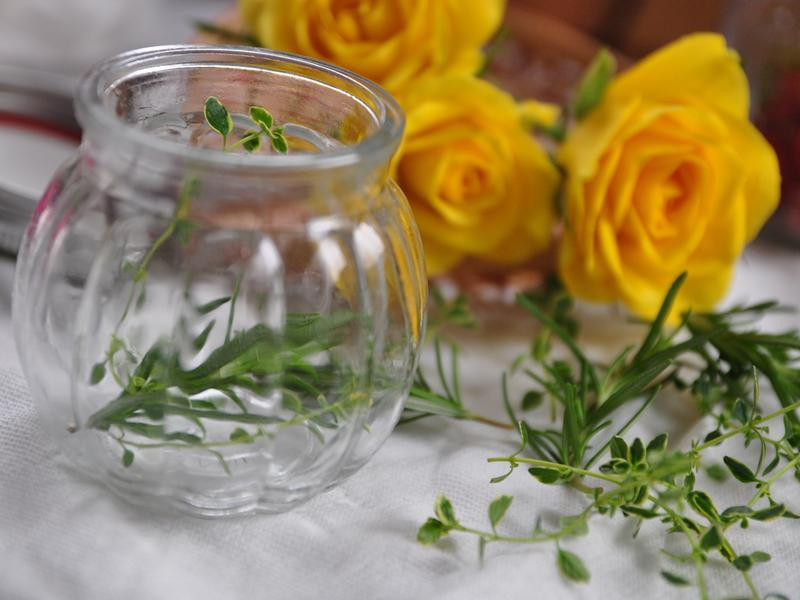 �������ެ�ѵ�����