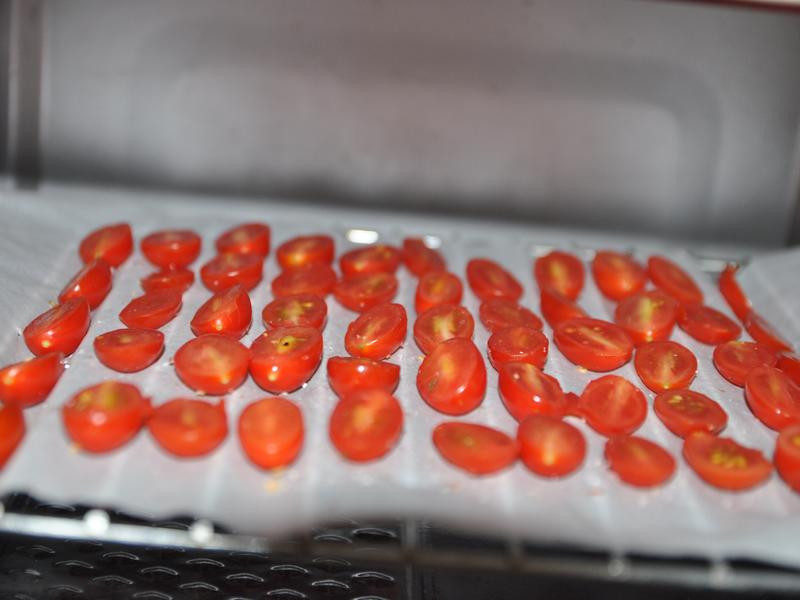 �������ެ�ѵ�����