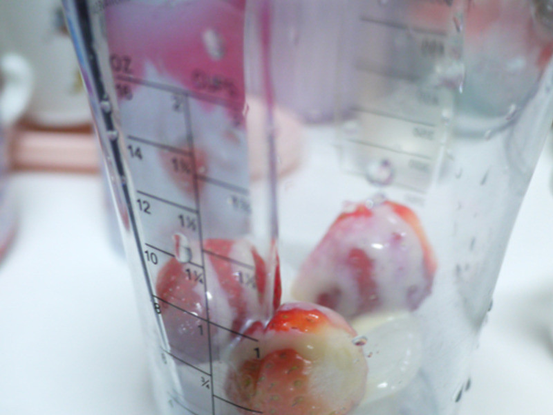 ����ݮ�Ͱ�ӥ�����̡�������ζ-��ݮ����������