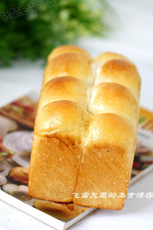 ������˾������