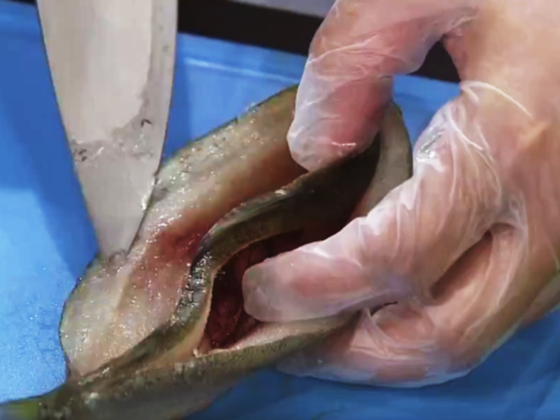 ÷֭��������������