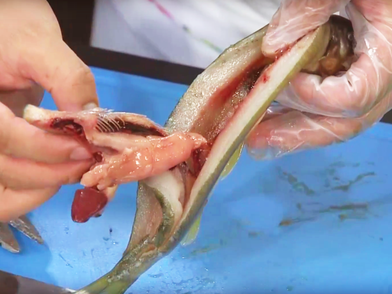 ÷֭��������������