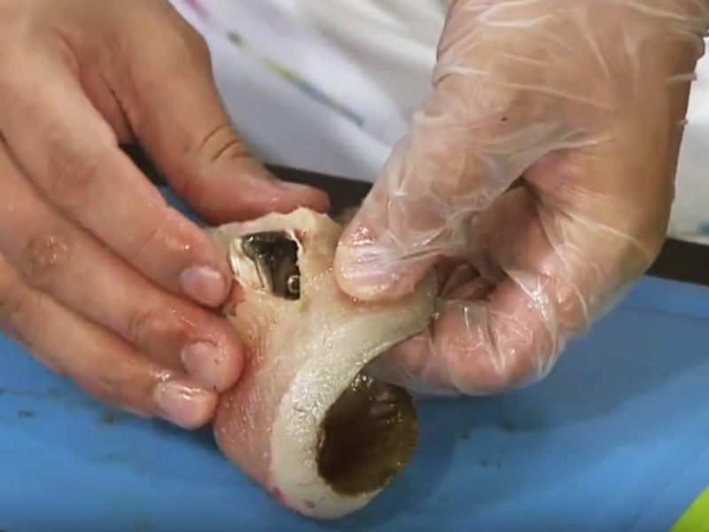 ÷֭��������������