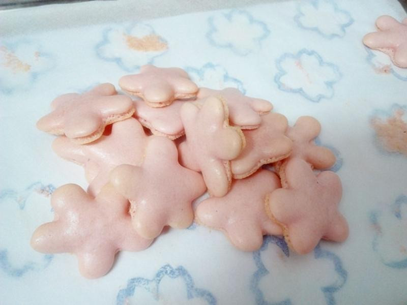 ��������������������