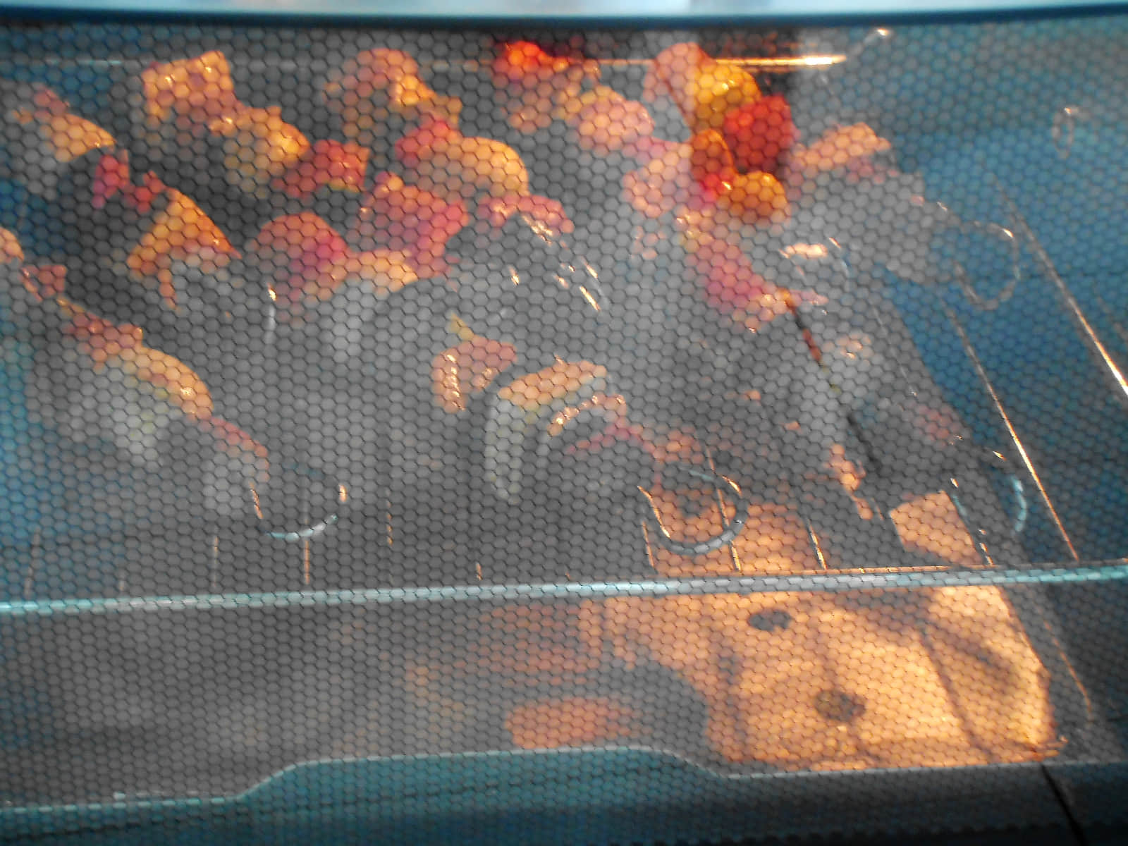 ɳ�迾��������