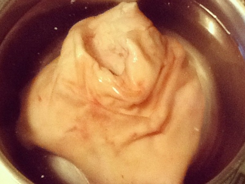 �����ʳ�ס�������� Stewed Pork Hocks������