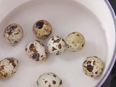 �����ո�����������