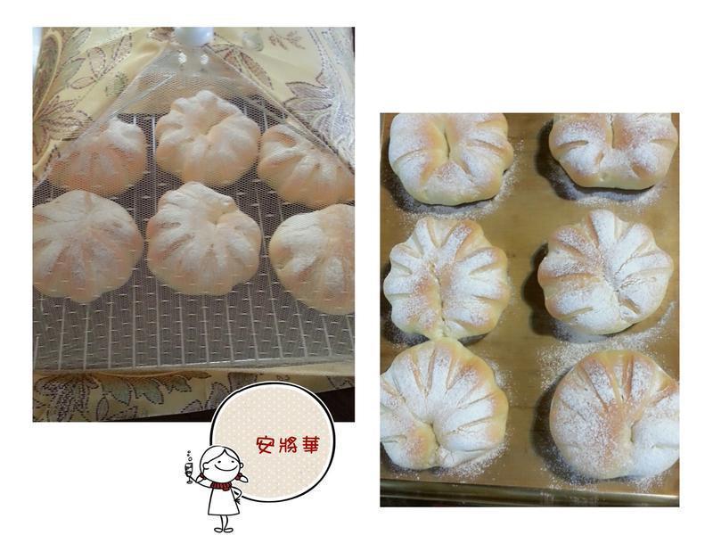 ������˾�������~���������������