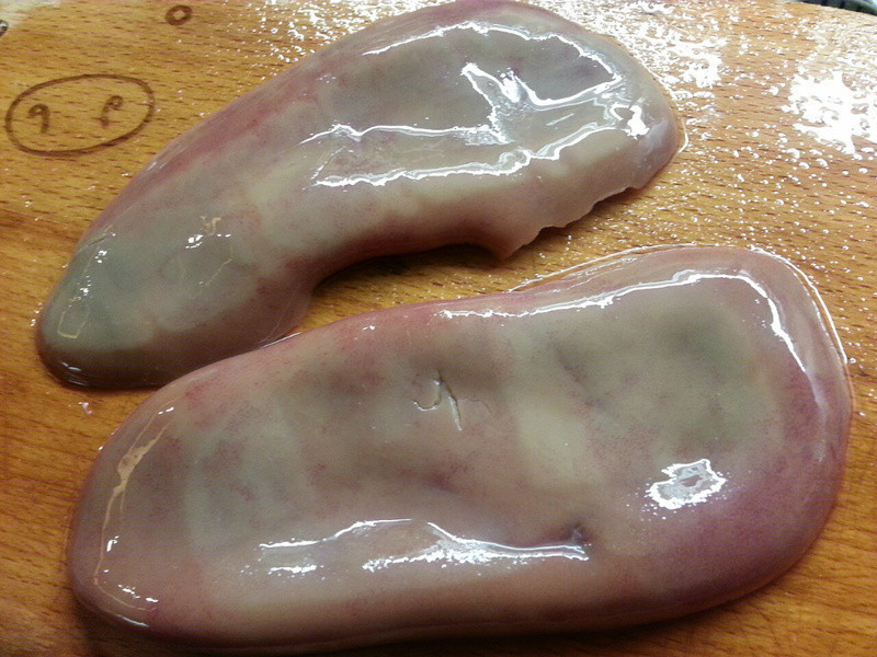 ��������������������