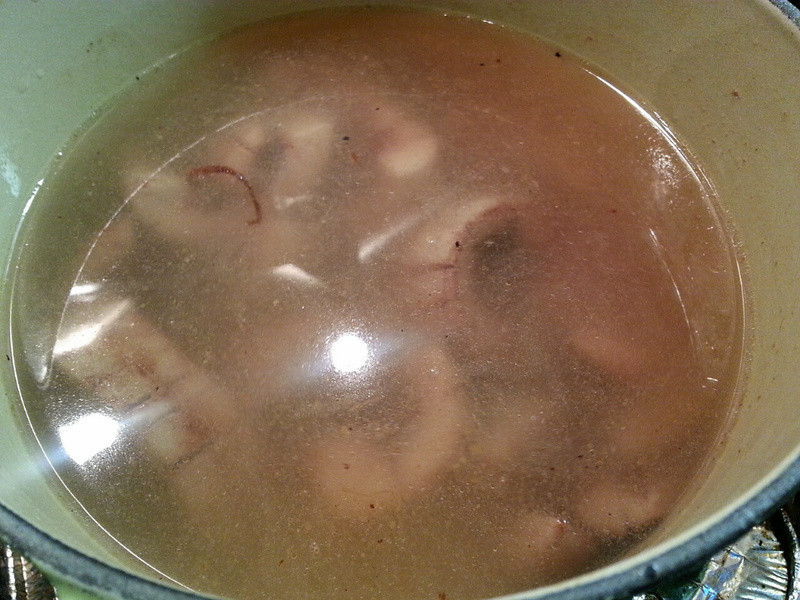 ��������������������