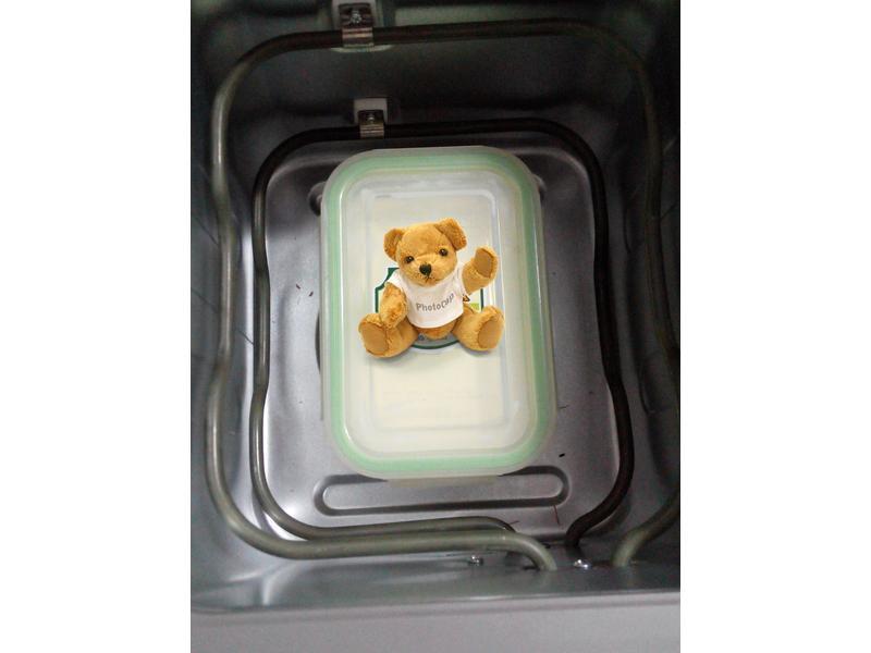 �������Ÿ�-�ѥ�ι���ͥ���������������