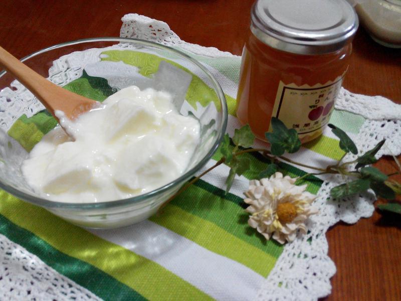 �������Ÿ�-�ѥ�ι���ͥ���������������