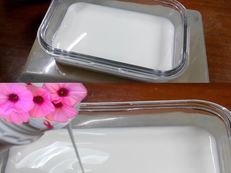 �������Ÿ�-�ѥ�ι���ͥ���������������