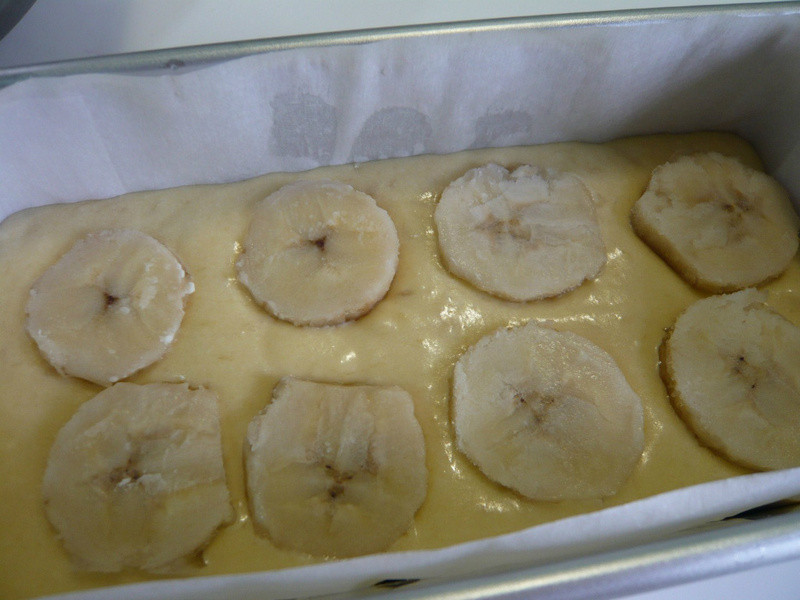 �㽶���������~Daisy���������