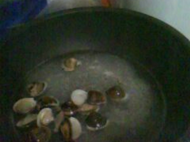 ���ʷ����⽴���������