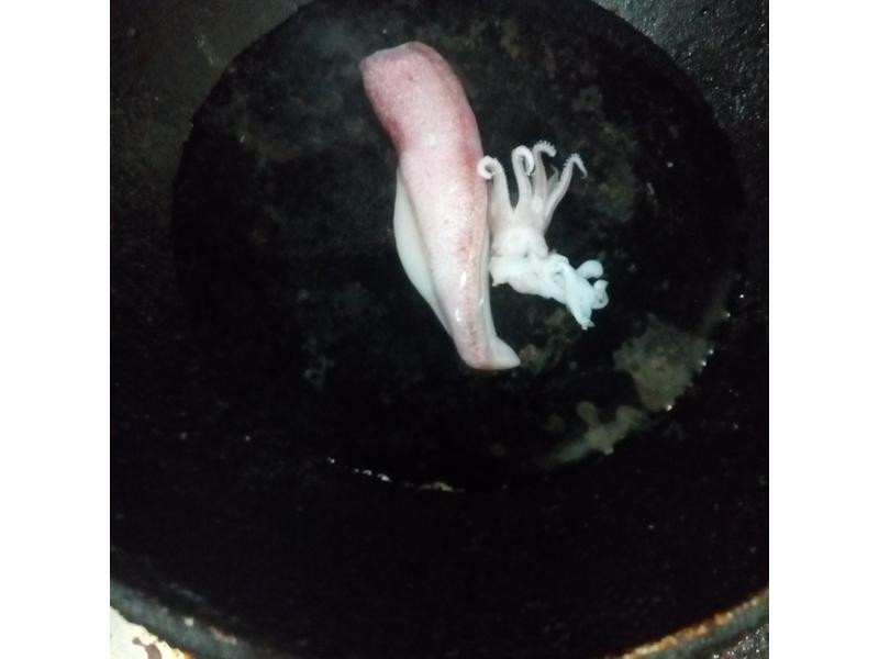 �ͷ�ެ�������������