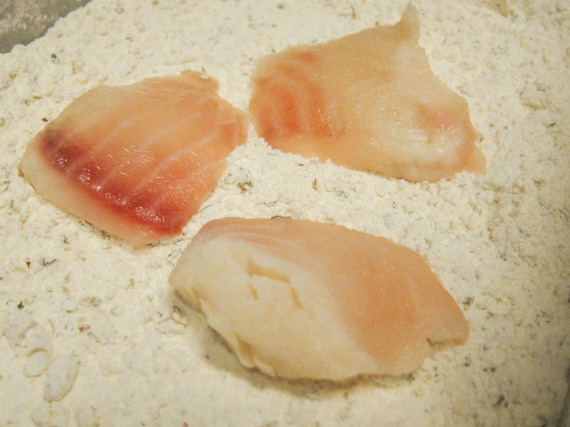 ��������Ƭ������