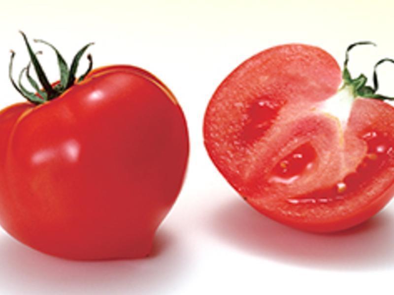 ��̨ʽ�������㳦������������