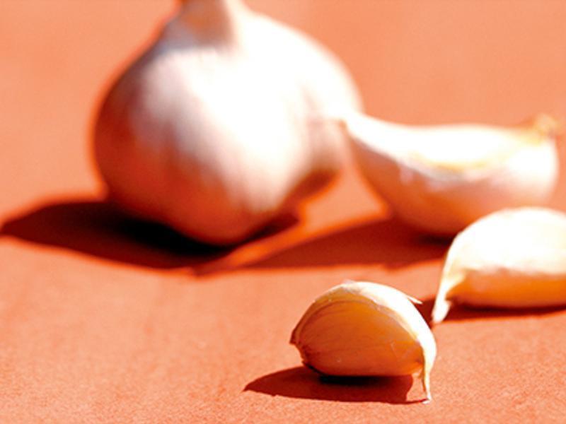 ��̨ʽ�������㳦������������