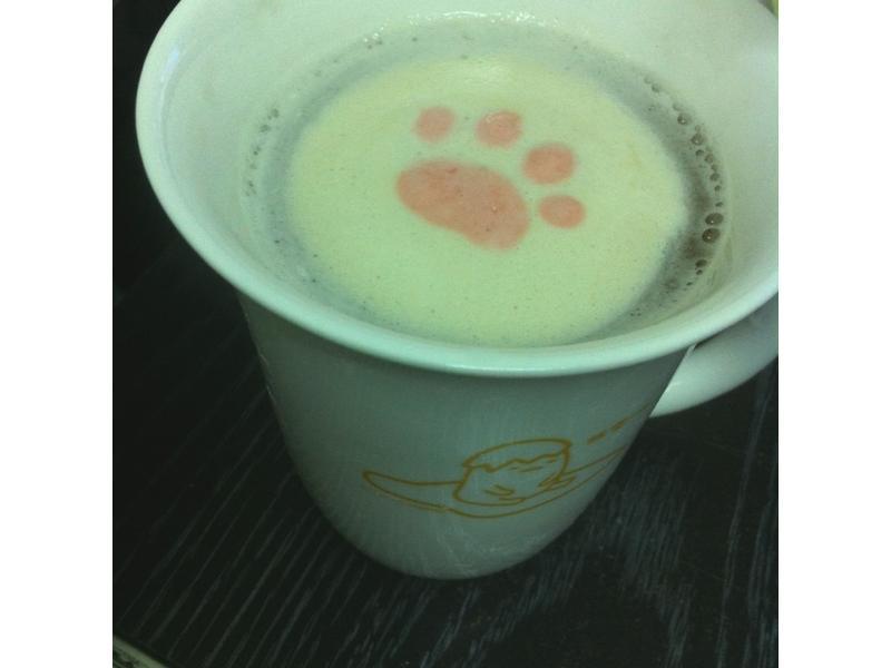 ��è���޻��ǡ�����ϵ�������ô������