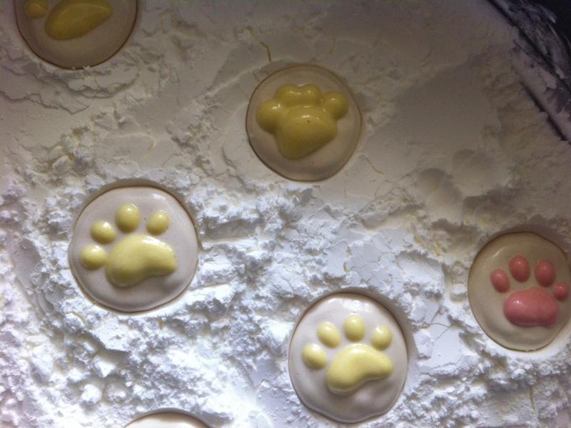 ��è���޻��ǡ�����ϵ�������ô������